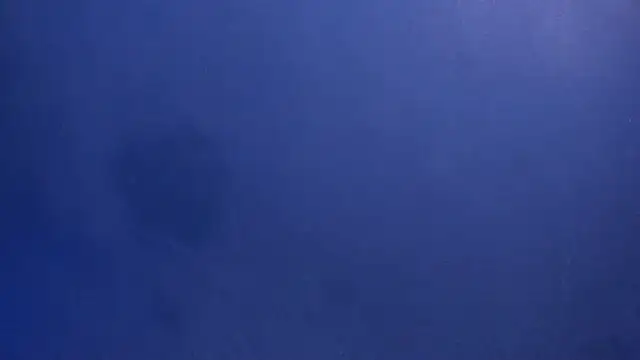 Snapshot of celestelewis chatting on 03.19.25 celestelewis online show from 03.19.25