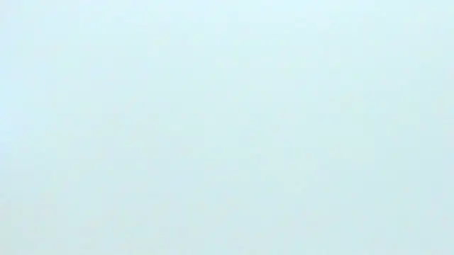 silvana  miller online show from 01.25.25