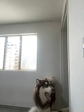 Arilw online show from 02.01.25