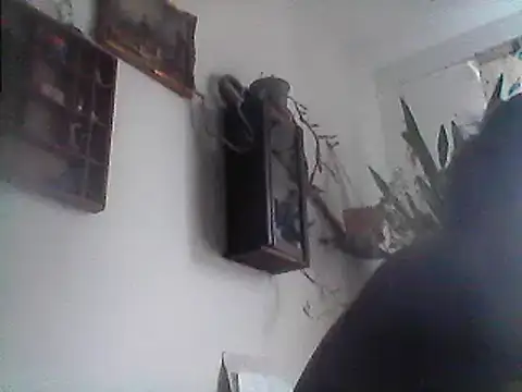 Snapshot of Bigpenis6y chatting on 12.29.24 Bigpenis6y online show from 12.29.24