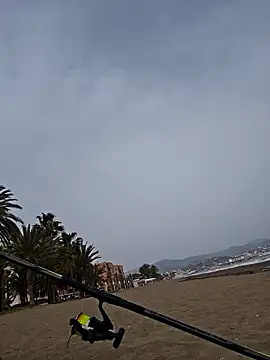 charlye inkkkk online show from 03.02.26