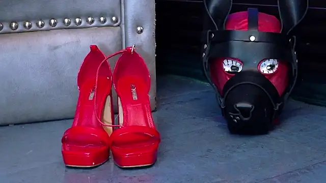 LusstCruella online show from 02.20.26