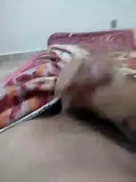 lm279 online show from 01.07.25