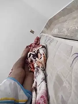 lm279 online show from 02.02.25