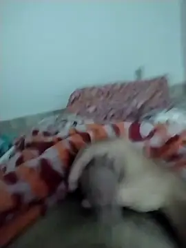 lm279 online show from 02.13.25