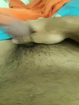 lm279 online show from 11.14.25