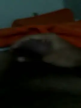 lm279 online show from 01.14.26