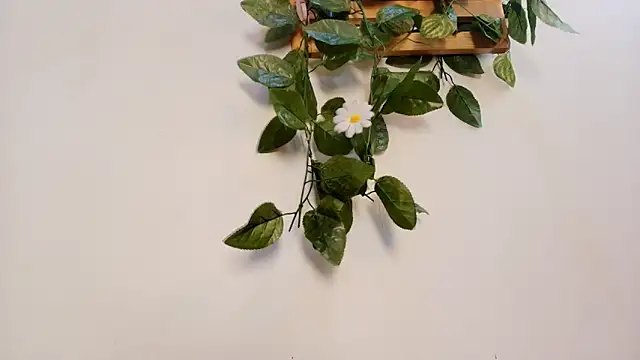 mss samy online show from 02.13.26