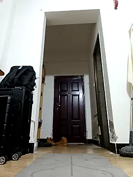 DDYY12341 online show from 11.18.25