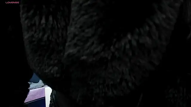 LARISSAEVANS online show from 02.13.25