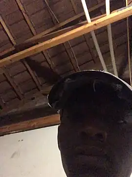 thekidrose online show from 12.02.25