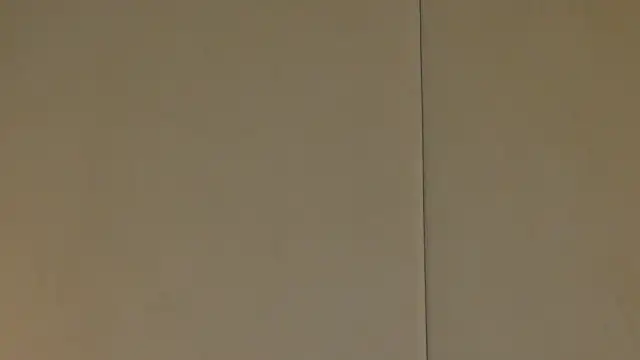 Snapshot of NattyDevon chatting on 02.20.25 NattyDevon online show from 02.20.25