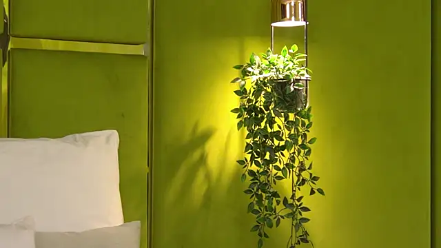 NattyDevon online show from 04.08.26