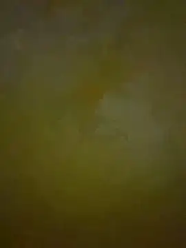 HeviZ online show from 01.21.25