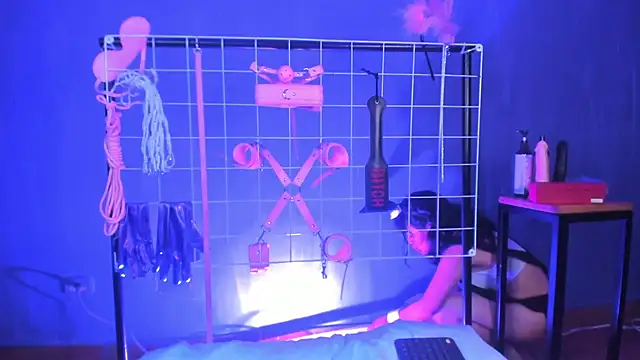 vanelope11 online show from 02.12.25