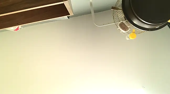 themany29 online show from 01.27.25