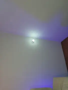 mich bittersweet online show from 04.11.26