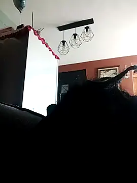 Snapshot of Bola453 chatting on 03.02.26 Bola453 online show from 03.02.26