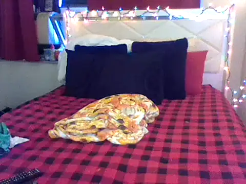 Snapshot of lachulalarubie chatting on 01.12.25 lachulalarubie online show from 01.12.25