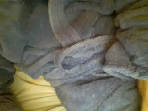 Snapshot of Ariete80s chatting on 02.23.25 Ariete80s online show from 02.23.25