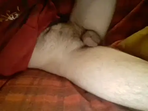 Snapshot of Ariete80s chatting on 03.10.25 Ariete80s online show from 03.10.25