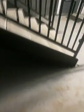 zeekBbc online show from 04.12.26