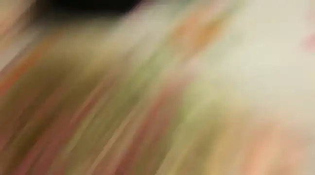 wild x predator online show from 01.10.25