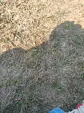 Gururonny07 online show from 01.27.25