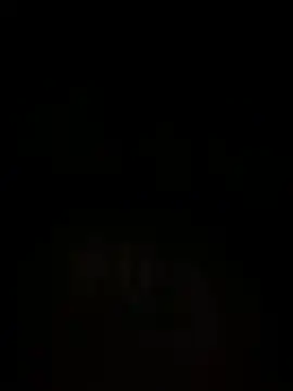 islandvybee55 online show from 12.15.24