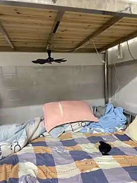 xinan520 online show from 09.12.25