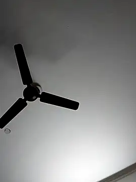 cutiecatty21 online show from 11.04.25