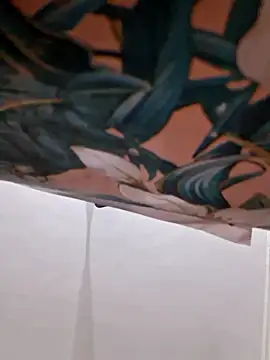 cutiecatty21 online show from 01.16.26