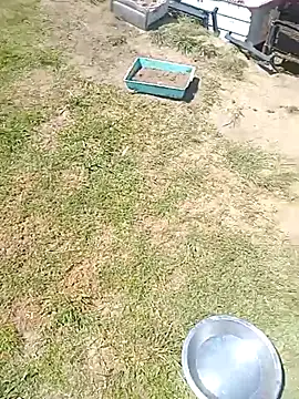 Snapshot of hornyhippies0080 chatting on 03.04.26 hornyhippies0080 online show from 03.04.26