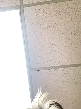 Tonybaloney1972 online show from 10.31.25