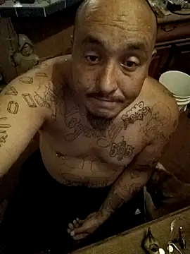 wilsons12 online show from 11.07.25