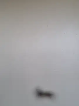 BriannaVincent online show from 01.07.26