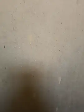 Snapshot of loveme99004 chatting on 02.16.26 loveme99004 online show from 02.16.26