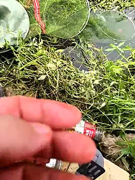 huzi518 online show from 10.25.25