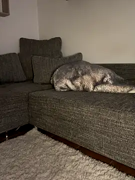 godspot  online show from 10.30.25