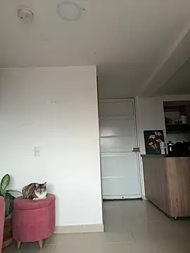 DakotaShelby online show from 04.06.26