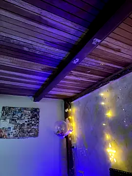 SophiaWeestt99 online show from 11.29.25