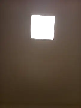 Porzz-6 online show from 11.18.25