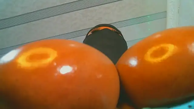 Snapshot of XPanther_24 chatting on 02.02.25 XPanther 24 online show from 02.02.25