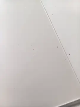 bbferlinaa online show from 03.21.26