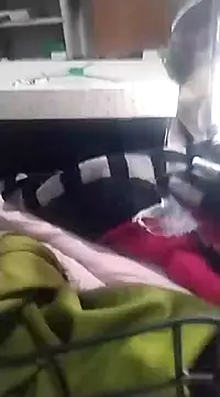 Snapshot of 6MataGarcia chatting on 12.17.24 6MataGarcia online show from 12.17.24