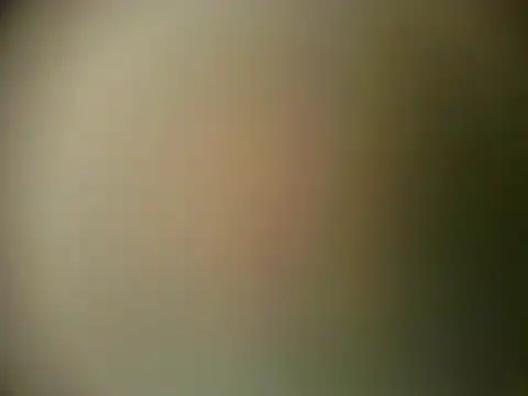 TheSweetBerry online show from 03.28.26