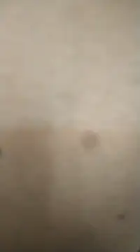 Snapshot of rohitlov150 chatting on 02.13.25 rohitlov150 online show from 02.13.25