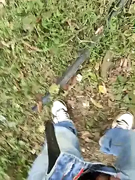 C vas  online show from 03.03.25