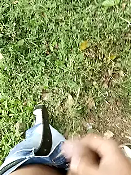 C vas  online show from 03.11.25