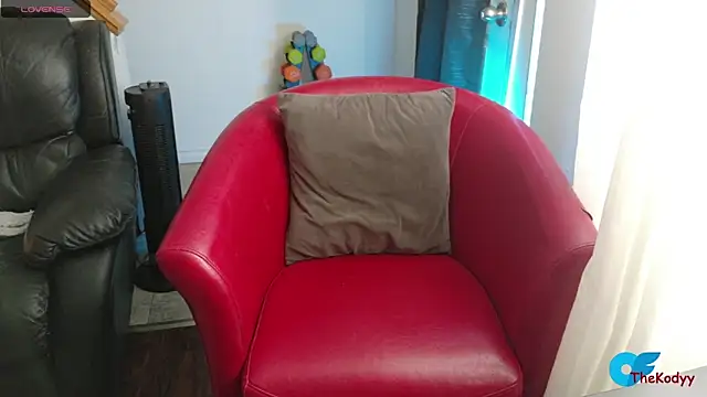 Thekodyy online show from 02.04.26